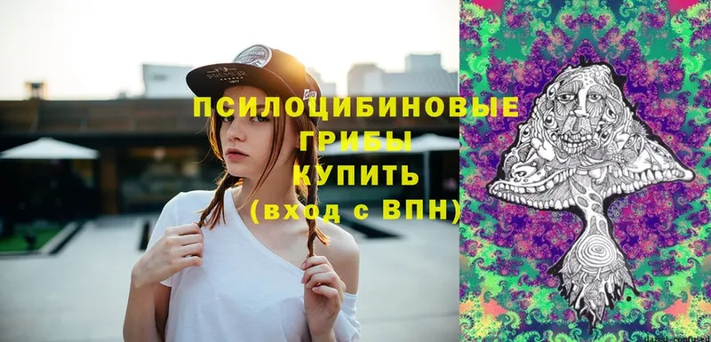 как найти   Дмитров  Псилоцибиновые грибы Magic Shrooms 